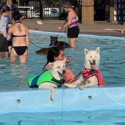 Smiles for Dog Days at the Splash